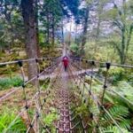 scenic spots, cahersiveen, south kerry, kell's bay gardens and ropebridge