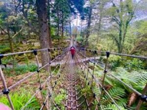 scenic spots, cahersiveen, south kerry, kell's bay gardens and ropebridge