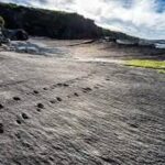 Tetrapod Footprints, Valentia