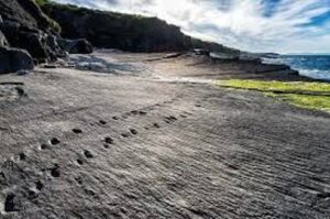 Tetrapod Footprints, Valentia